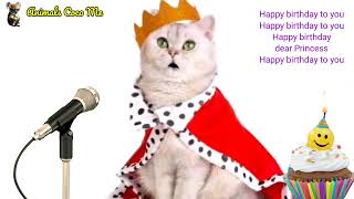 PRINCESS HAPPY BIRTHDAY | Adorable Cute Cat 😺