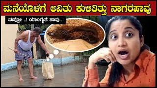 ಯಪ್ಪೋ...! ಮನೆ ಒಳಗೆ ಬಂತು ನಾಗರ ಹಾವು | Found Snake In My House | Pooja K Raj Vlogs | Kannada Vlogs