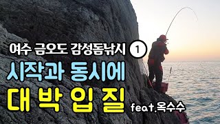 여수 금오도 감성돔 낚시 대박 마릿수