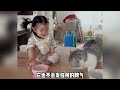 一只和人类幼崽大战的猫咪“饺子”网友：真的是太可爱了