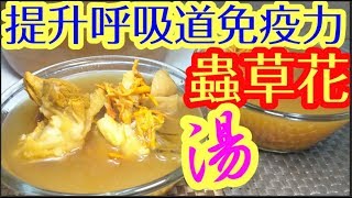 Cordycep Flower Soup:Healing👍Prevents Bronchitis. Cough Relief. Moistens Lungs. Invigorates Spleen