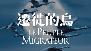 遷徙的鳥 | 頂級紀錄片的標準 | Le peuple migrateur | Winged Migration | Jacques Perrin | Nick Cave | Documentary