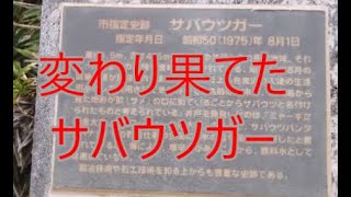 伊良部島のサバウツガーに行ってきた