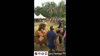 Agadi Mmanwu | Traditional African masquerades at Enugu Mmanwu festival #shorts