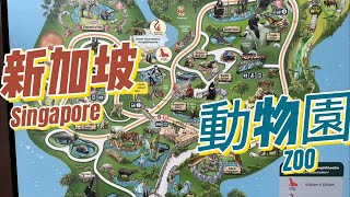 新加坡旅行30天第14集、在動物園的一天還有吃美人鍋