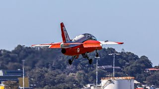 Incredible Rare SIAI-Marchetti S-211 Takeoff, High Speed Pass and Landing at the Gold Coast