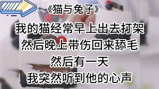 【知呼小说-猫与兔子】沙雕甜宠，又甜又搞笑，近期最佳