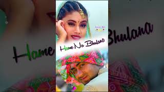 Hame Na Bhulana Sajan Hame Na Bhulana 4K+Full Screen Status Video