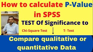 how to calculate the P value in SPSS, how to compare two variable in spss,  chi square test \u0026 T Test