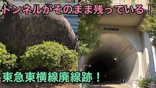 【廃線めぐり】東横フラワー緑道を歩いてきた。