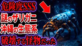 【危険度SSS】沖縄で捕獲された外来ザリガニ…調査の結果、本物の怪物だと判明...沖縄の生態系に迫る危機