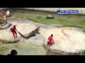 crocodile bites down onto trainer s head