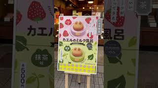 【🇯🇵】NAGOYA‼️青柳喫茶⁉️カエルのミルク風呂🍓かえるまんじゅう🐸frog♨  #Shots