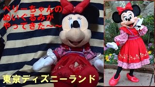 ★TDR 東京ディズニーランド ベリーちゃん　ぬいぐるみ　ミニーちゃん ★