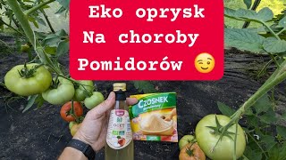 Spryskaj tym Pomidory Ogórki a nie zachorują