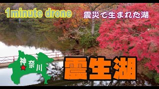 【1min. drone #29】神奈川県秦野市・震生湖～震災で生まれた湖～