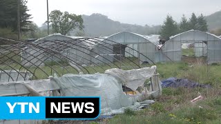 지진·강풍 피해 보상 '풍수해 보험' 가입 매년 늘어 / YTN