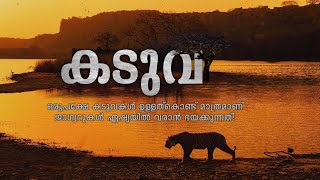 സിംഹത്തെ പേടിയില്ലാത്തവൻ | Tiger In Malayalam | Felidae | Nireekshanam