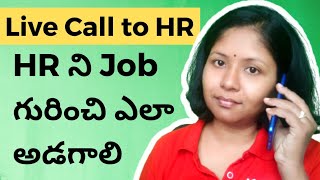 Live Call to HR, How to ask for Job Vacancy? (Telugu) | @Pashams
