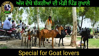 ਅੱਜ ਦੇਖੋ ਬੱਕਰੀਆਂ ਦੀ ਮੰਡੀ, This Video is For Goat lovers