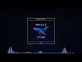 c.r.o.s.y whale star