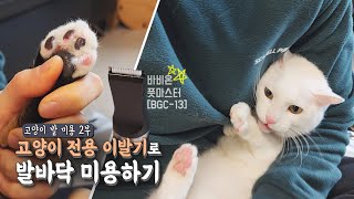 반려동물 전용 이발기로 고양이 발바닥 미용 제대로 해보자!