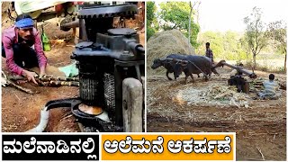 ನೋಡಿ: ಮಲೆನಾಡಿನಲ್ಲಿ ಆಲೆಮನೆ ಆಕರ್ಷಣೆ | Alemane Habba in Sirsi | Uttara Kannada