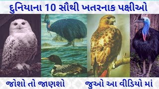 દુનિયાના 10 સૌથી ખતરનાક પક્ષીઓ|| વિશ્વના 10 સૌથી ખતરનાક પક્ષીઓ || Duniyana 10 Khatarnam pakshio