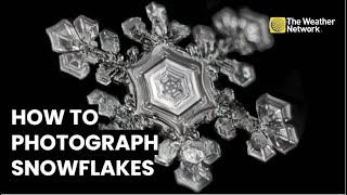 Snowflakes Up Close: This Photographer Explains His Technique