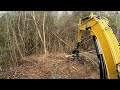 clearing small brush and trees with the Cat 306