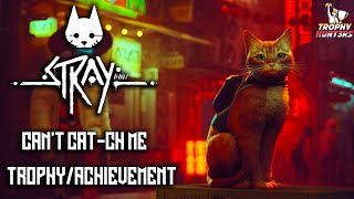 Stray - Can't Cat-Ch Me (First Zurk Pursuit) Trophy