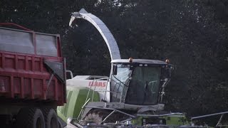 Claas Jaguar - Ets Martin 2/2