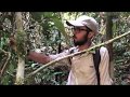 The objectives of the Machete Expedition | Borneo Fieldwork