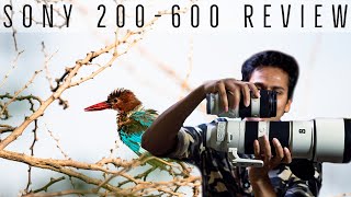 Sony 200-600mm Review | 30+ Photo-Video Samples