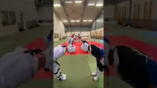 Lion's Taekwondo academy Fight Training