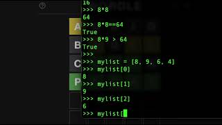 ✅ Deep dive into Python programming (warning: Long video). #Wordle 230