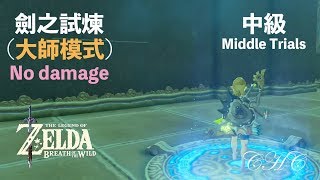 【The Legend of Zelda − BOTW】WT05 Trial of the Sword - Middle Trials (Master Mode, no damage)