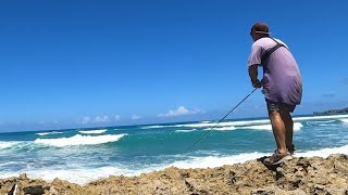PESCA Y COCINA EN EL CARIBE, PESCADOS CRUDOS, pesca urbana en REPÚBLICA DOMINICA
