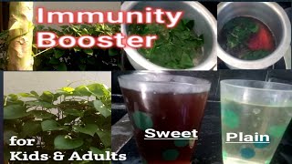 immunity booster Drink for kids and adults,plain\u0026sweet giloy leaf kashayam,Tippa Teega leaf kashayam