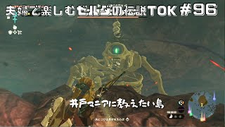 【Part96】夫婦二人のゲーム時間【ゼルダの伝説TOK】