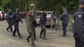 RCMP arrest nearly 30 old-growth logging protestors, most in one day since enforcement began