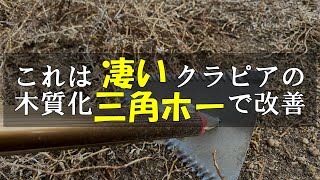 これは凄いクラピアの木質化を三角ホーで改善