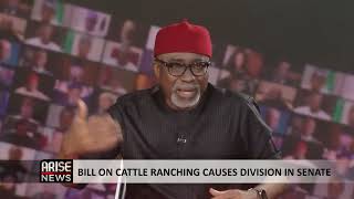 Open-Grazing Bill: People Are Killed if They Don’t Let Cows Graze on Their Land -Abaribe
