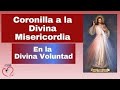 Coronilla a la Divina Misericordia en la Divina Voluntad|Mision Ruah|Padre Claudio Barbut