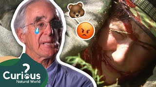 Father And Daughter Get ATTACKED By An Angry Grizzly! 😡🐻 | Human Prey | Curious?: Natural World