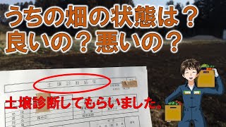 【土壌分析】今の畑の土の状態はどうなの？無駄なく肥料を使いたい！