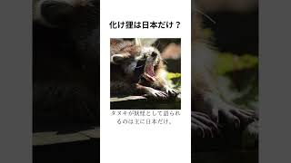 動物の雑学Part29 #トリビア #豆知識シリーズ #タヌキ