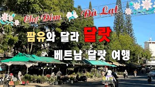 🇻🇳2024.11 신짜오 비엣남! 날씨요정과 함께한 베트남 달랏여행. 내 맘대로 달랏투어. #베트남 #베트남여행 #달랏여행 #Vietnam #Dalat #đàlạt #Dalat