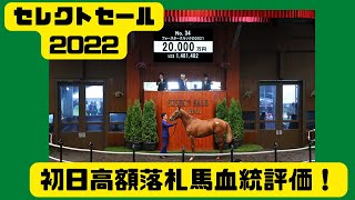 【3分で血統を学ぶ！】セレクトセール2022 初日高額落札馬血統評価！【馬よ聞いてくれ 第17回】