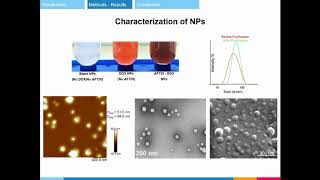 Dox-loaded protease-activated NPs in cancer imaging and therapy - Video Abstract - [174068]